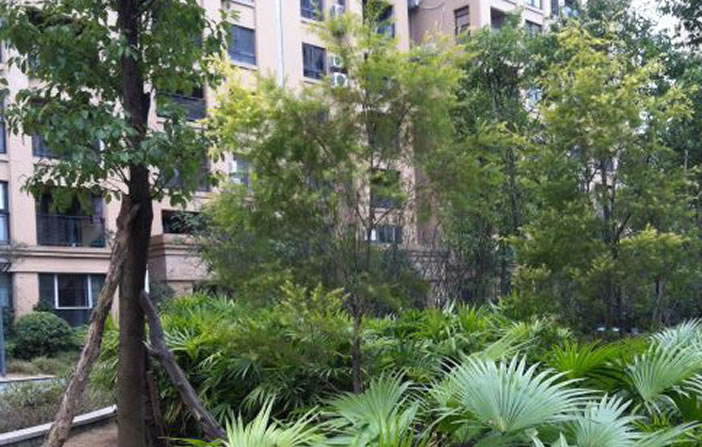 彩神vll官网(中国)首页大厅