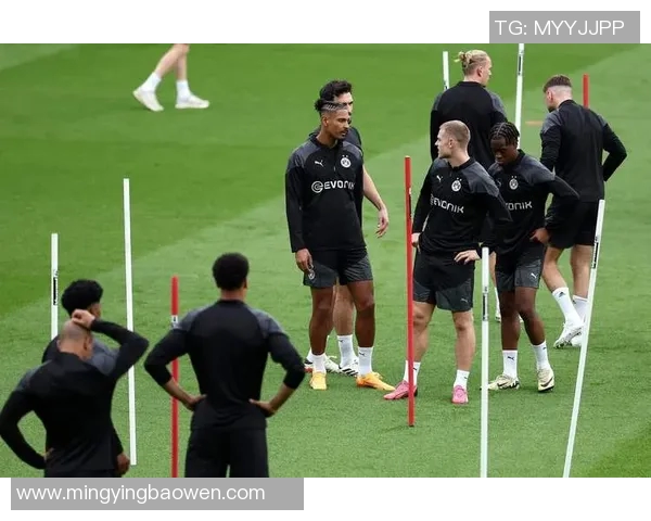 多特蒙德球迷暴力事件引发欧冠禁赛与巨额罚款震惊足坛 多特蒙德球迷暴力事件引发欧冠禁赛与巨额罚款震惊足坛