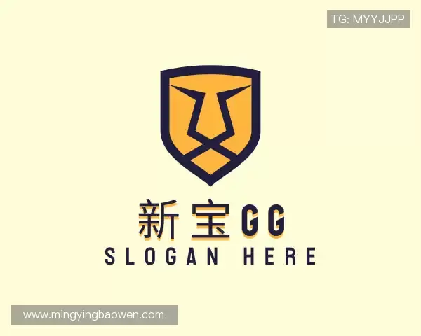 关于新宝GG