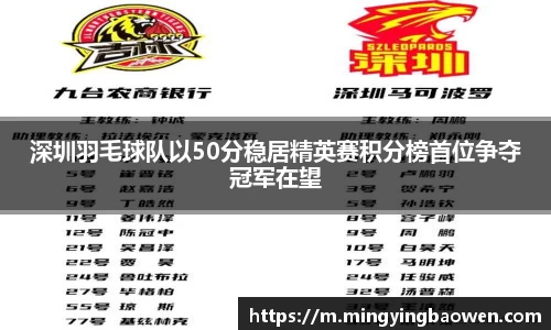 深圳羽毛球队以50分稳居精英赛积分榜首位争夺冠军在望
